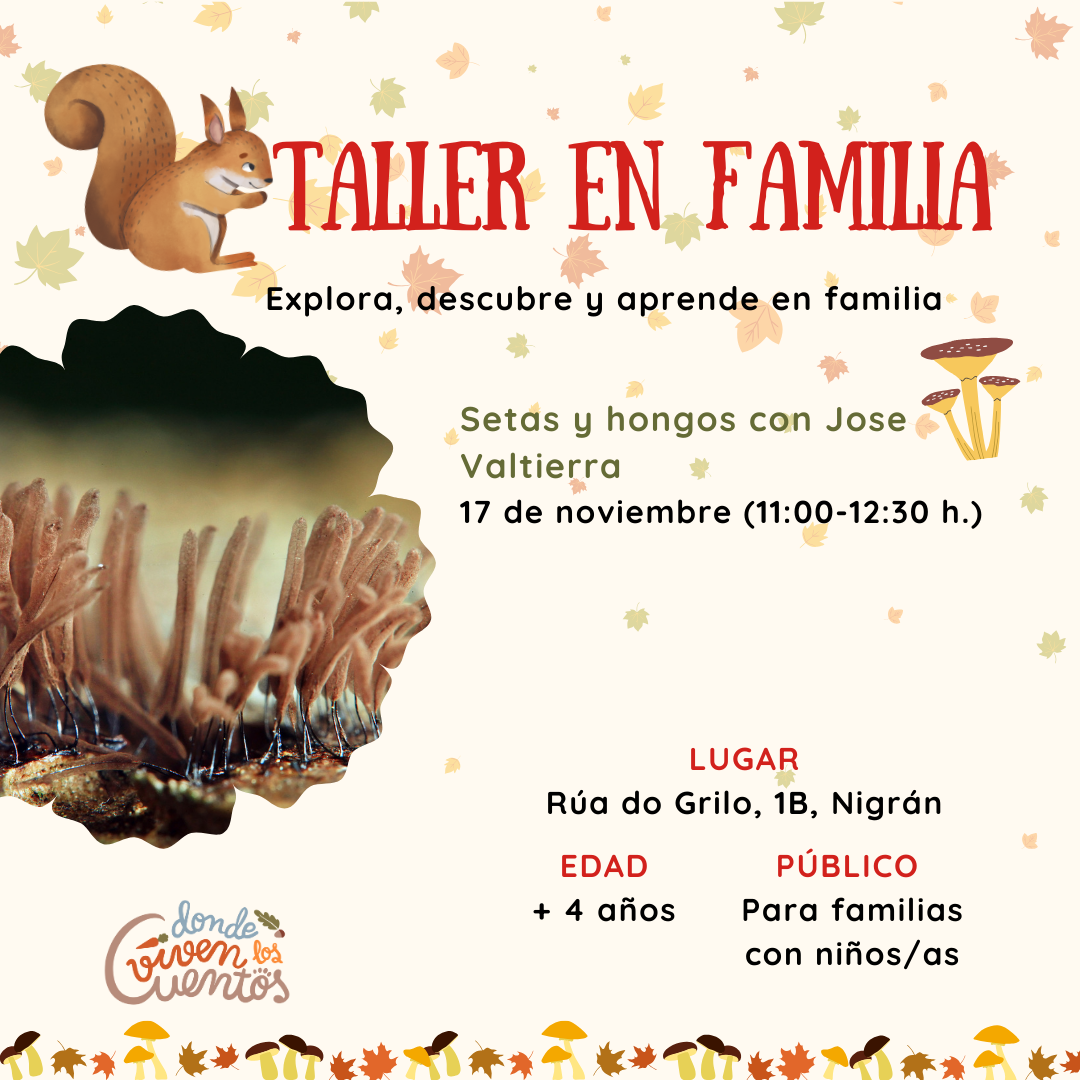 Noviembre Instagram ()